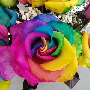 Meet your Posher, Kristen